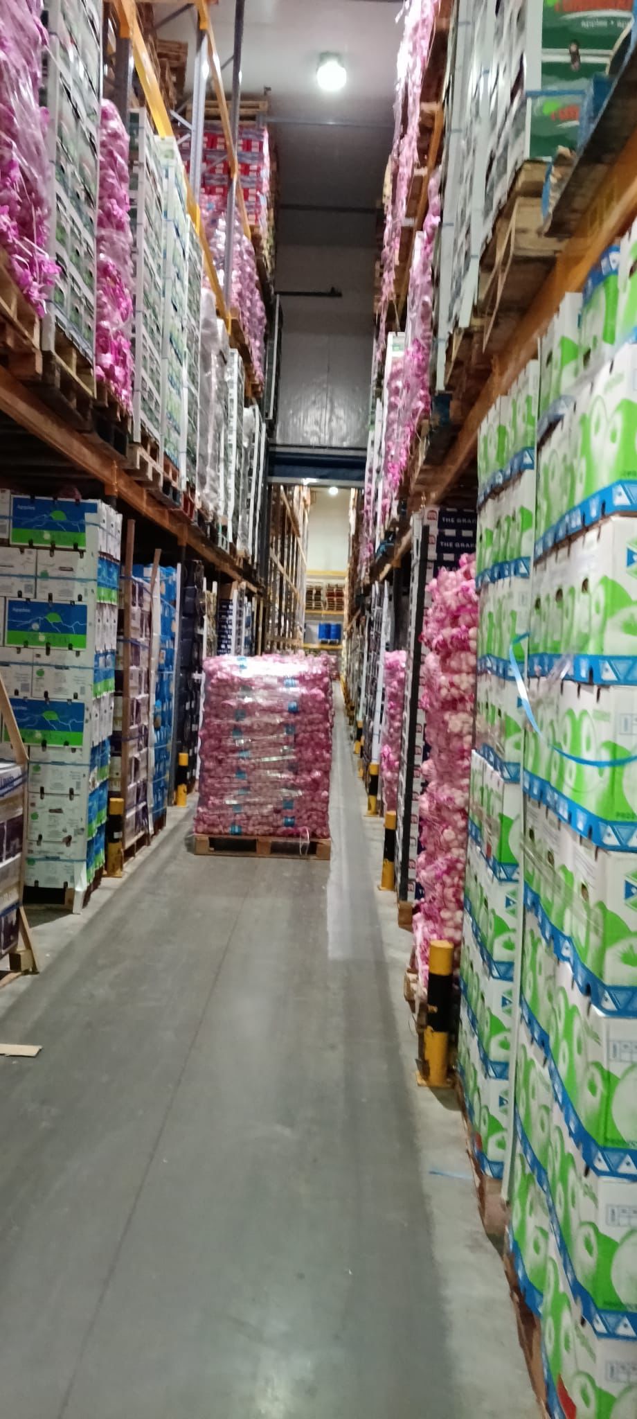 Import operations
